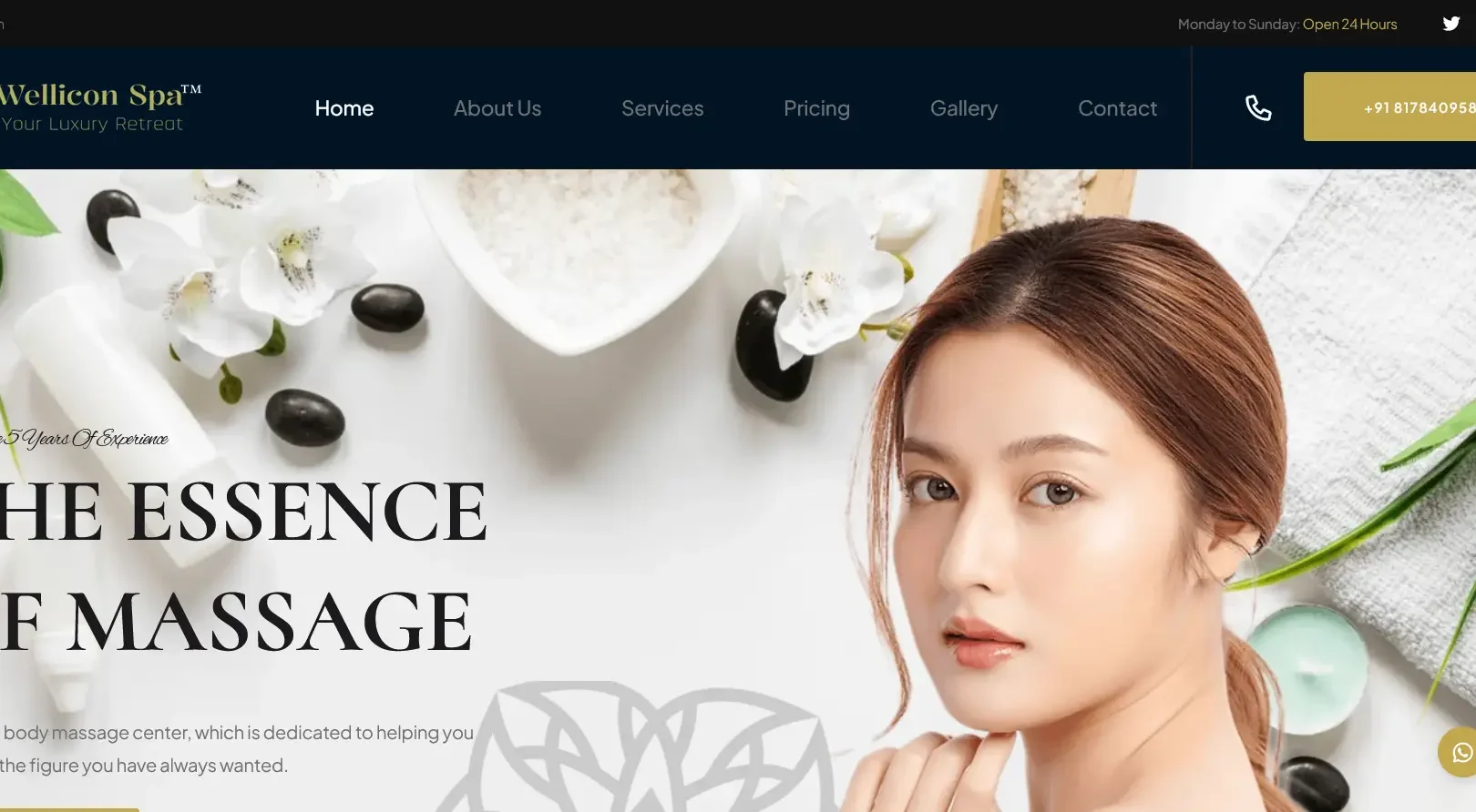 welliconspa.in
